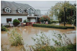 Flood insurance image